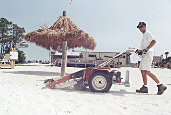 beach cleaning, sand fenicing, erosion control, sea oat planting, native plant specialist, consultant